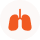 Orange lungs icon on white background